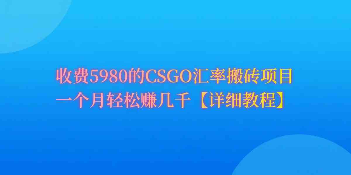 （9776期）CSGO装备搬砖，月综合收益率高达60%，你也可以！-桂芽网创