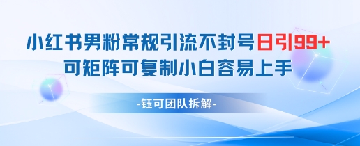 小红书男粉常规引流不封号日引99+变现简单 可矩阵可复制小白容易上手-桂芽网创