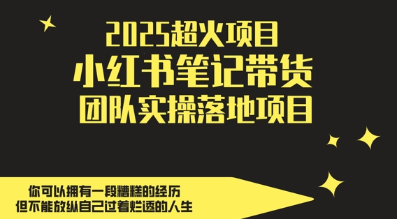 2025超火项目，副业最佳选择，小红书笔记带货团队实操落地项目，，轻松日入5张-桂芽网创
