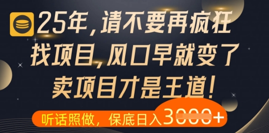什么？25年你还在疯狂找项目做，醒醒吧，看完这些你全都懂了【揭秘】-桂芽网创