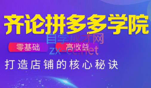 齐论拼多多vip课程-桂芽网创