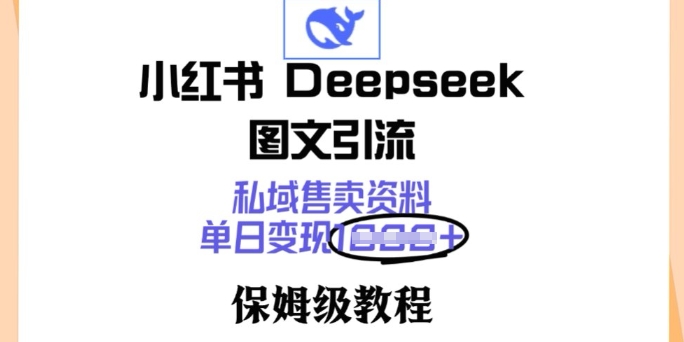 小红书Deepseek图文引流，私域售卖资料，单日变现多张，保姆级教程-桂芽网创