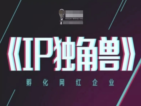 IP独角兽，孵化网红企业，ip教程-桂芽网创