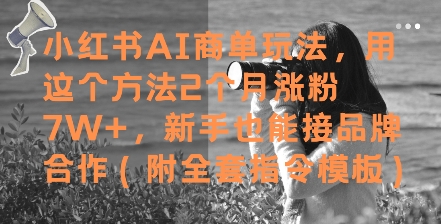 小红书AI商单玩法，用这个方法2个月涨粉7W+，新手也能接品牌合作(附全套指令模板)-桂芽网创