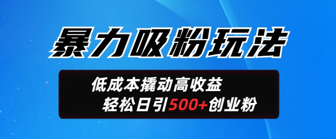 暴力吸粉玩法，日引500+精准创业粉，日变现轻松多张-桂芽网创