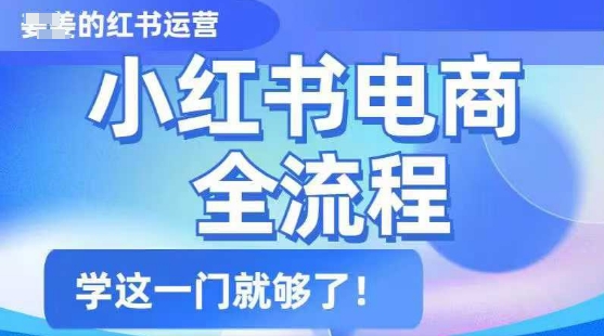 小红书电商全流程，精简易懂，从入门到精通，学这一门就够了-桂芽网创