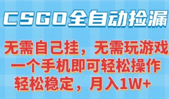 CSGO自动捡漏项目，最新独家玩法，一个手机可操作，新手小白轻松月入1W+，操作简单易上手【揭秘】-桂芽网创