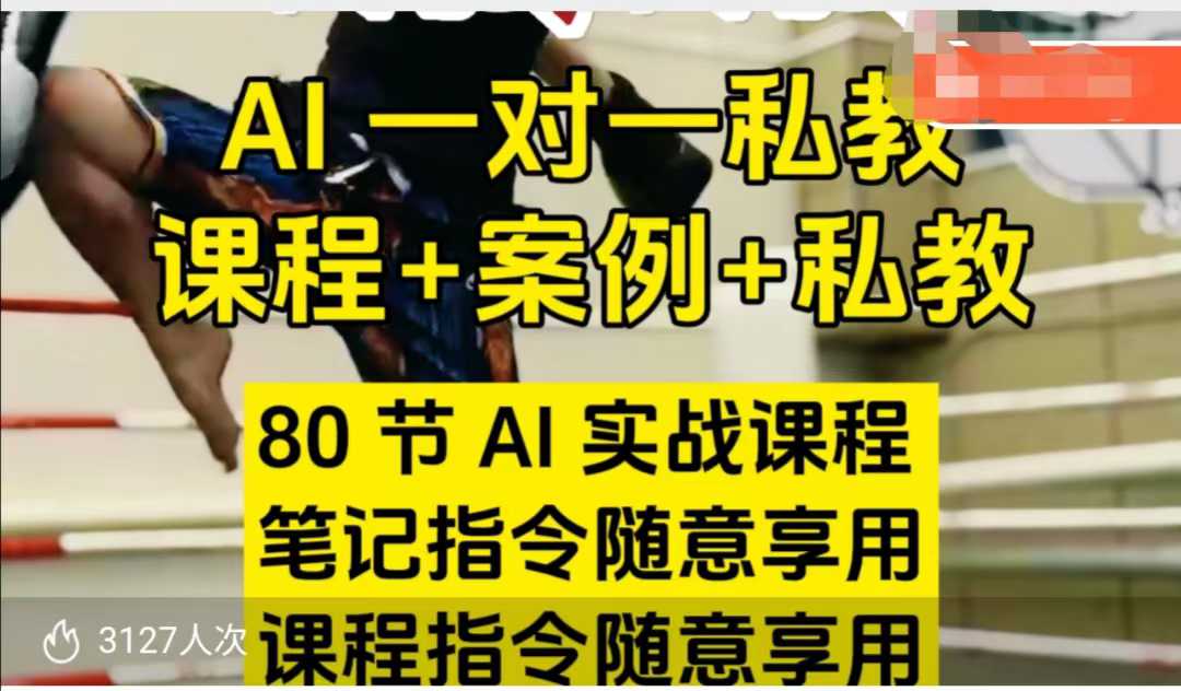 AI指令实战课，课程+案例，80节AI实战课程，笔记指令随意享用，课程指令随意享用(更新7月)-桂芽网创