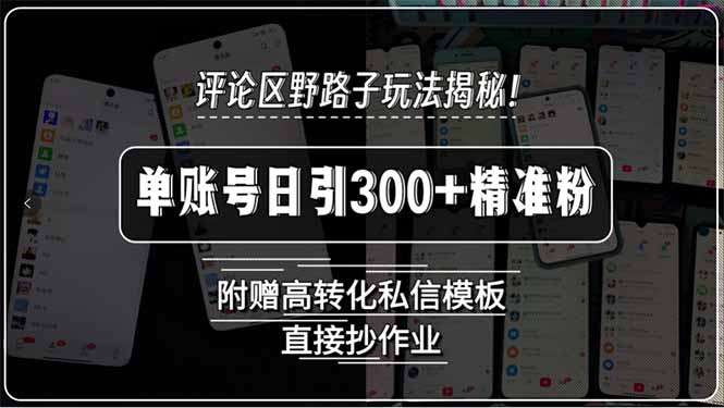 评论区野路子玩法揭秘！单账号日引300+精准粉，附赠高转化私信模板，直…-桂芽网创