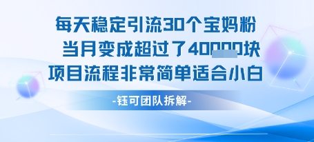 每天稳定引流30个人 当月变成超过了4个W项目流程非常简单适合小白-桂芽网创