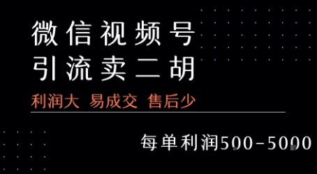 视频号卖二胡教程，利润大 易成交 售后少，一单利润5张+-桂芽网创