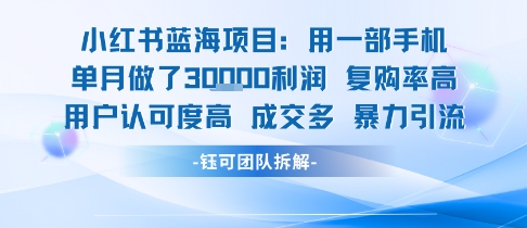 小红书蓝海项目，一部手机单月做了3W利润，小白也能月入过1W用户认可度高成交多-桂芽网创