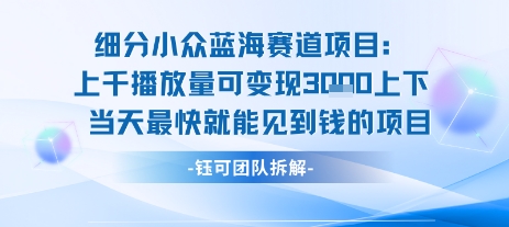 小众蓝海赛道项目：当天变现1k+适合新手操作 +适合长期玩-桂芽网创