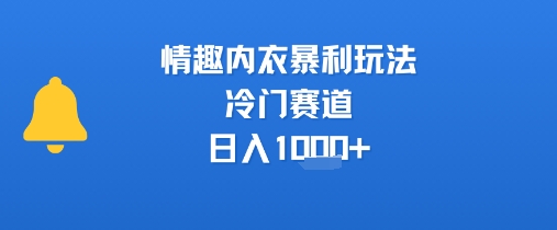 情趣内衣暴利玩法，冷门赛道，日入1k+-桂芽网创