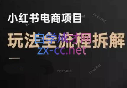 菲菲老师·小红书电商玩法(更新7月)-桂芽网创