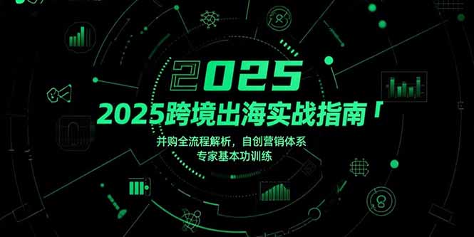 2025跨境出海实战指南，并购全流程解析，自创营销体系，专家基本功训练-桂芽网创