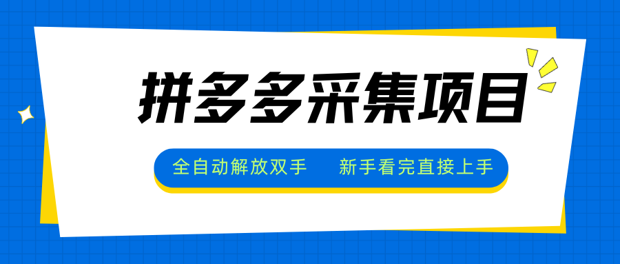 拼多多采集项目，全自动解放双手，单号日入30+-桂芽网创