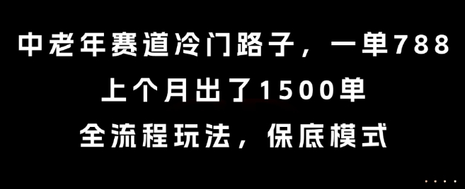 中老年赛道冷门路子，一单788，上个月出了1500单，全流程玩法，保底模式【揭秘】-桂芽网创