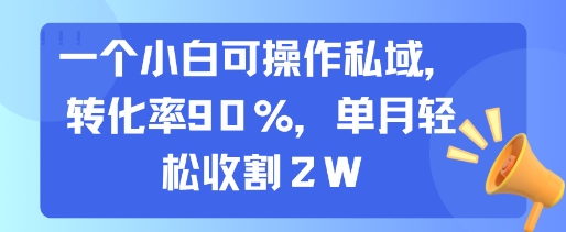 一个小白可操作私域，转化率90%，单月轻松收割2W-桂芽网创