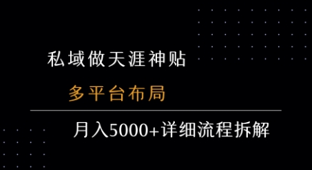 私域做天涯神贴 多平台布局 月入5k+详细流程拆解-桂芽网创