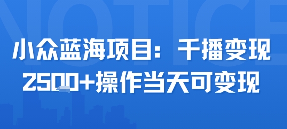 小众蓝海项目，千播变现2.5k+操作当天可变现-桂芽网创