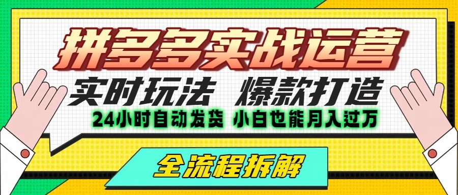 拼多多最新实战运营高投产：长久稳定项目，单店利润一天三位数-桂芽网创