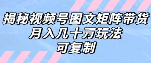 解密视频号图文矩阵带货，月入几个W的打法，可复制-桂芽网创