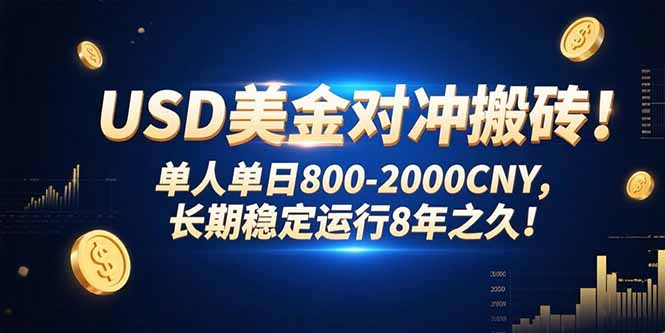 USD美金对冲搬砖!单人单日800-2000CNY，长期稳定运行8年之久!-桂芽网创