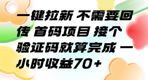 一键拉新 不需要回传 首码项目 接个验证码就算完成 一小时收益70+【揭秘】-桂芽网创