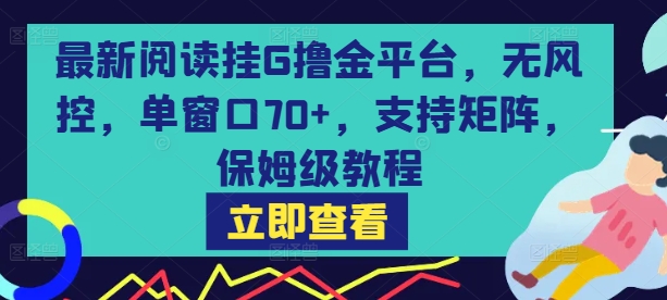 最新阅读挂G撸金平台，无风控，单窗口70+，支持矩阵，保姆级教程【揭秘】-桂芽网创
