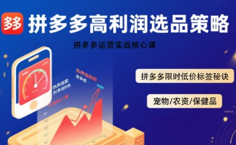 拼多多选品暴利技术实战课，拼多多高利润选品策略，拼多多限时低价标签秘诀-桂芽网创