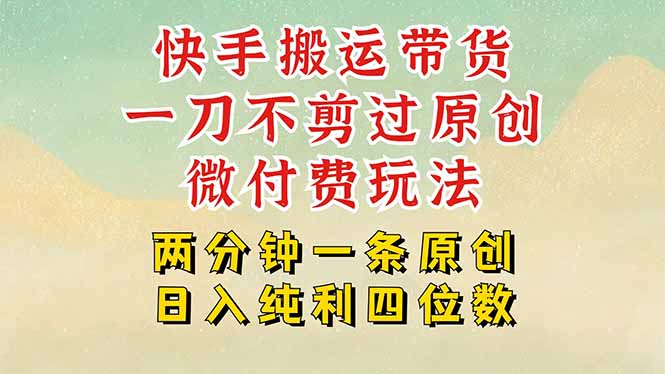 快手黑科技搬运带货，一刀不剪过原创，微付费投流玩法，轻松日入四位数…-桂芽网创