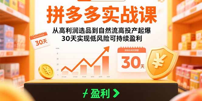 拼多多实战课：从高利润选品到自然流高投产起爆 30天实现低风险可持续盈利-桂芽网创