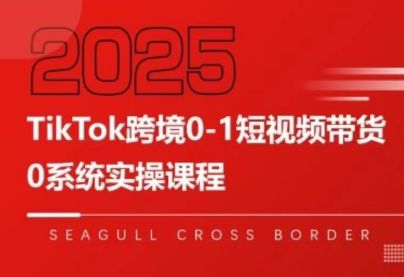 大亿老师·TikTok跨境0-1短视频带货-桂芽网创