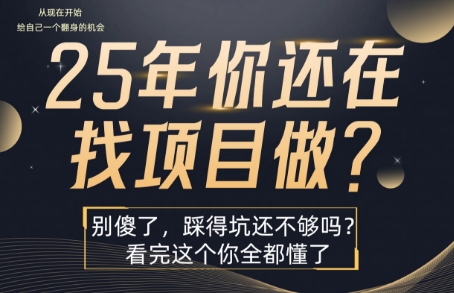 25年，你还在疯狂的找项目吗？别傻了，看完这个你都懂了【揭秘】-桂芽网创