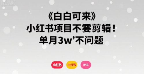 小白可来 小红书项目不需要剪辑 单月3w不是问题-桂芽网创