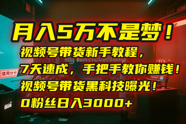 月入5万不是梦！视频号带货新手教程，7天速成，手把手教你赚钱！视频号…-桂芽网创