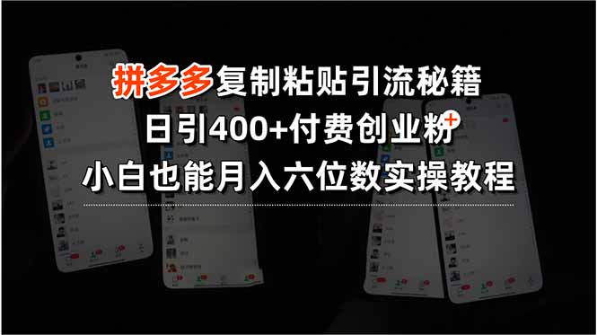 拼多多复制粘贴引流秘籍，日引400+付费创业粉，小白也能月入六位数实操…-桂芽网创