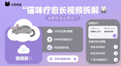 猫咪疗愈长视频拆解 &油管频道运营技巧-桂芽网创