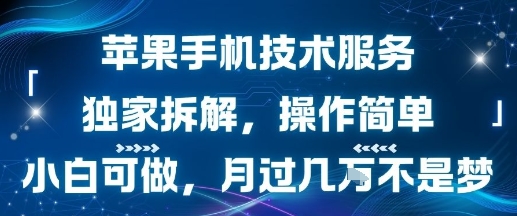苹果手机技术服务，独家拆解，操作简单，小白可做，月过1W不是梦-桂芽网创