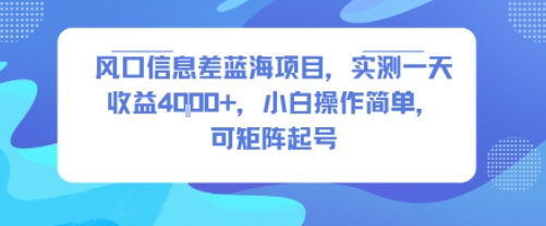 风口信息差蓝海项目，实测一天收益4k+，小白操作简单，可矩阵起号-桂芽网创