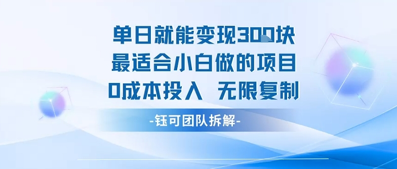 单日就能变现3张最适合小白做的项目0成本投入 无限复制-桂芽网创