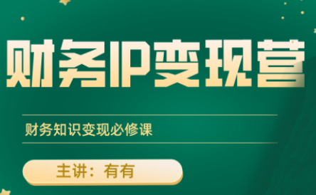 有有老师·财务IP变现营，财务知识变现必修课-桂芽网创