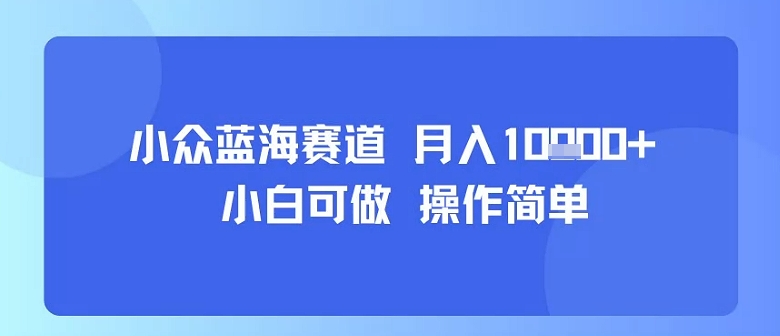 小众蓝海赛道，小白可做，操作简单，每天30分钟，月入1W+-桂芽网创