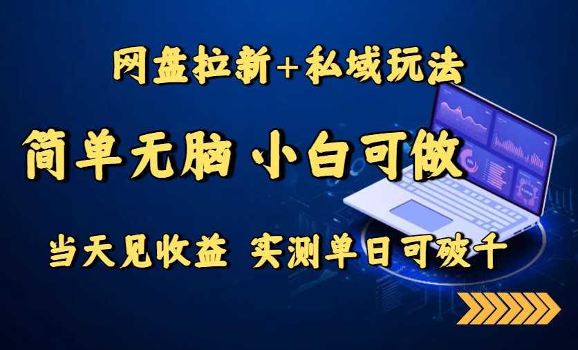 网盘拉新+私域玩法，简单无脑，小白可做，当天见收益，实测单日可破千-桂芽网创
