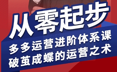 拼多多运营进阶系统课，从零起步，多多运营进阶体系课，破茧成蝶的运营之术-桂芽网创