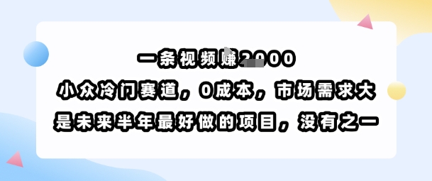 一条视频挣1k，小众冷门赛道，0成本，市场需求大，是未来半年最好做的项目，没有之一-桂芽网创