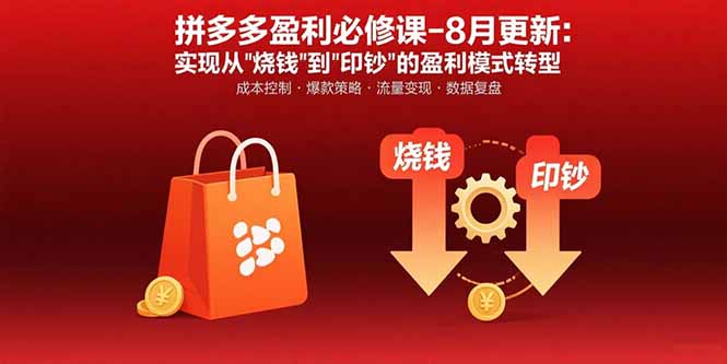 拼多多盈利必修课-8月更新：突破运营瓶颈 实现从烧钱到印钞的盈利模式转型-桂芽网创