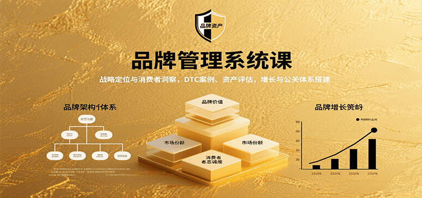 品牌管理系统课：战略定位与消费者洞察，DTC案例、资产评估，增长与公关体系搭建-桂芽网创