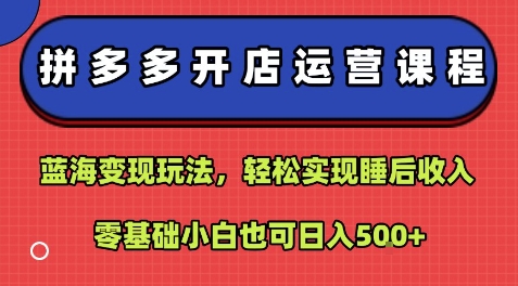 拼多多开店运营课程：蓝海变现玩法，轻松实现睡后收入，零基础小白也可日入5张-桂芽网创